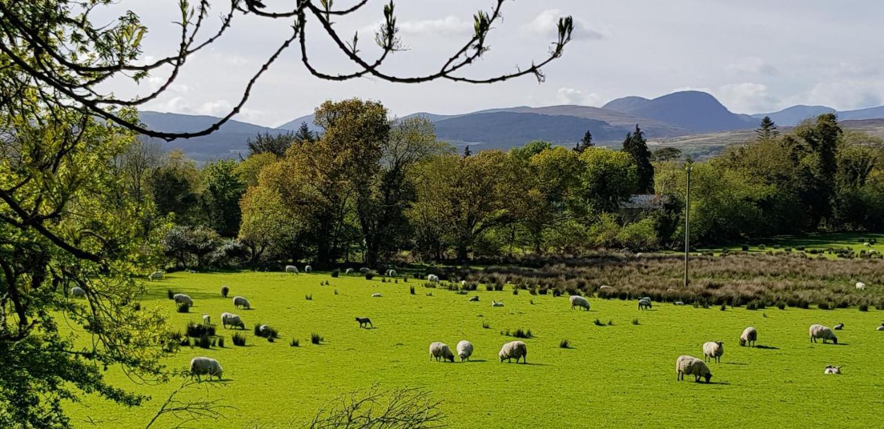 Mountain View Bed & Breakfast, Kenmare, Co. Kerry, Ireland المظهر الخارجي الصورة