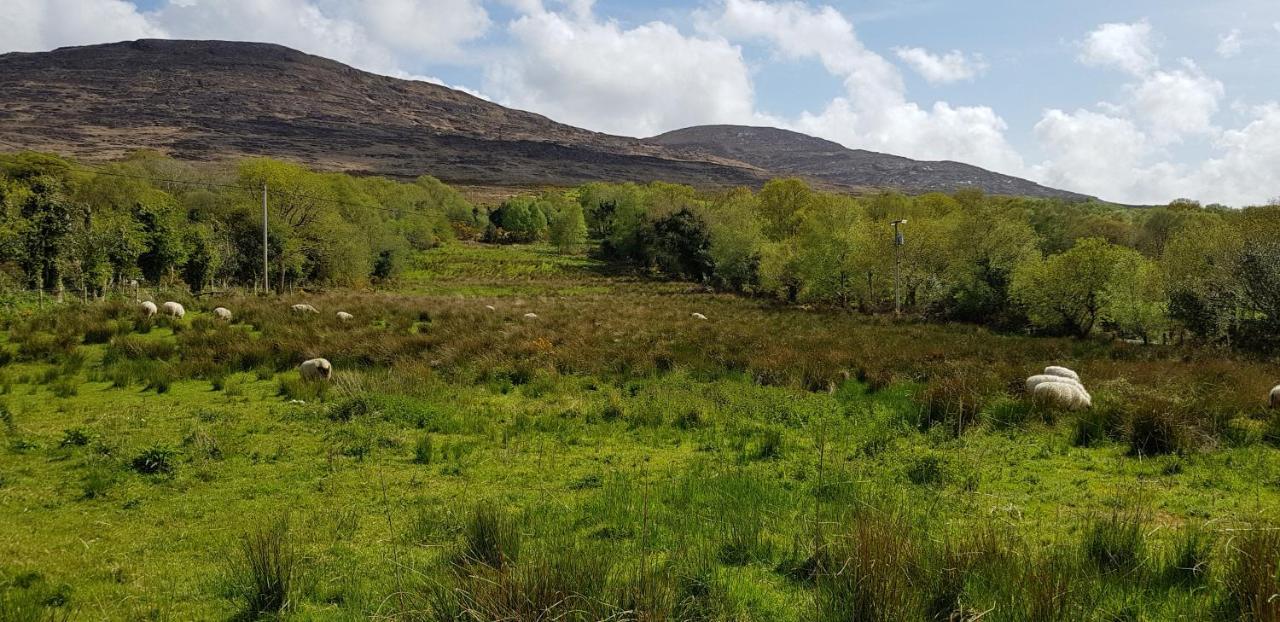 Mountain View Bed & Breakfast, Kenmare, Co. Kerry, Ireland المظهر الخارجي الصورة