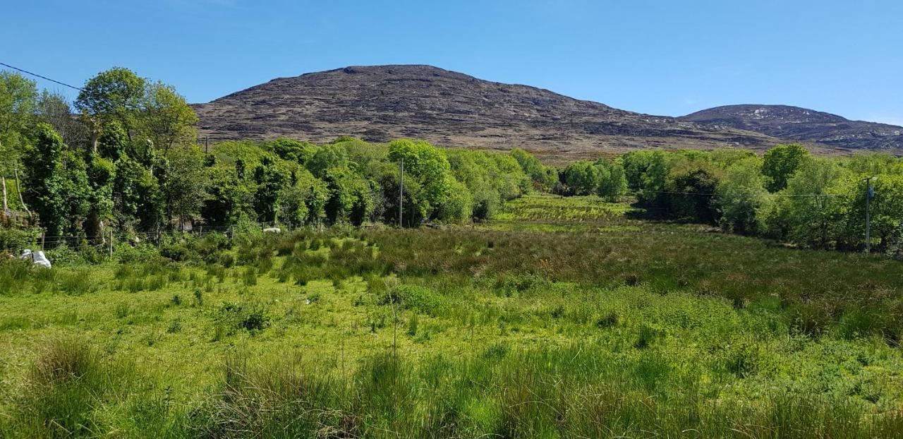 Mountain View Bed & Breakfast, Kenmare, Co. Kerry, Ireland المظهر الخارجي الصورة